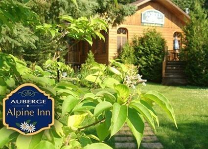 Hotel Alpine 3*