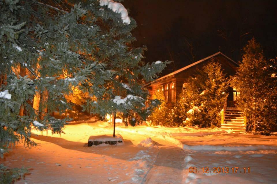 Alpine Hotel 3*
