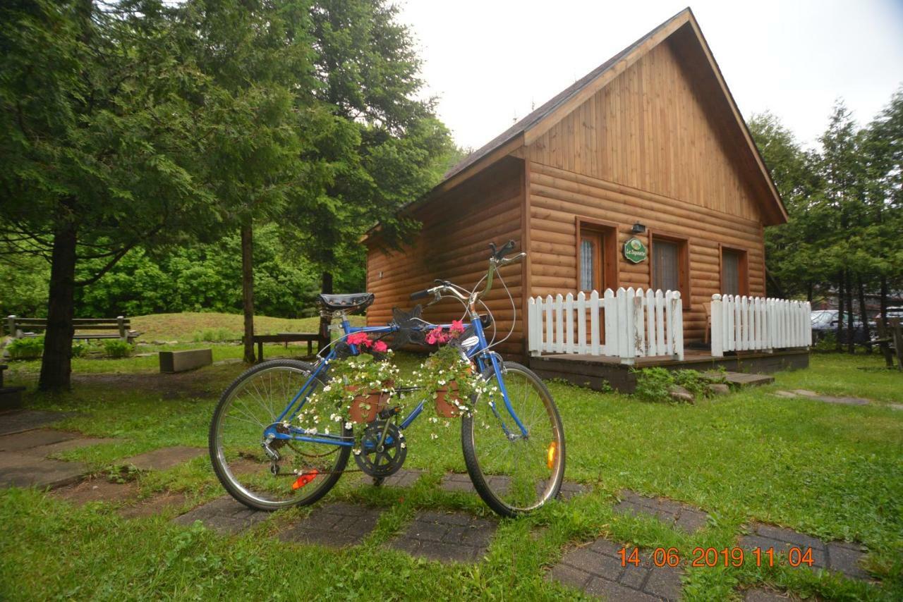 Hotel Alpine Sainte-Adele