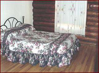 Hotel Alpine Sainte-Adele